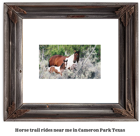 horse trail rides near me in Cameron Park, Texas